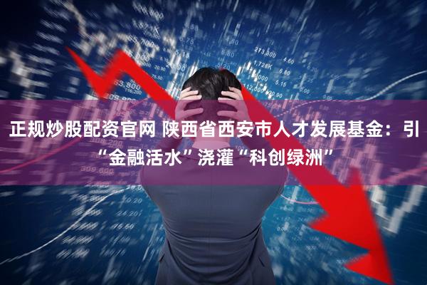 正规炒股配资官网 陕西省西安市人才发展基金：引“金融活水”浇灌“科创绿洲”