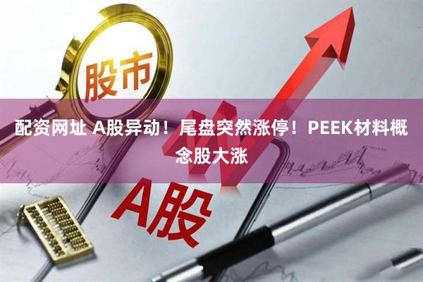 配资网址 A股异动！尾盘突然涨停！PEEK材料概念股大涨